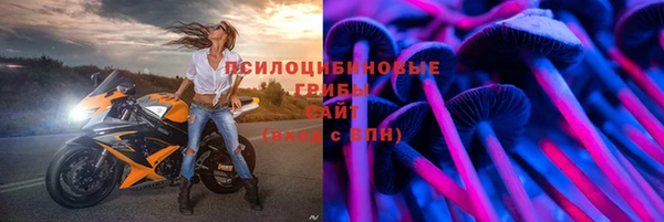 гидропоника Богородицк