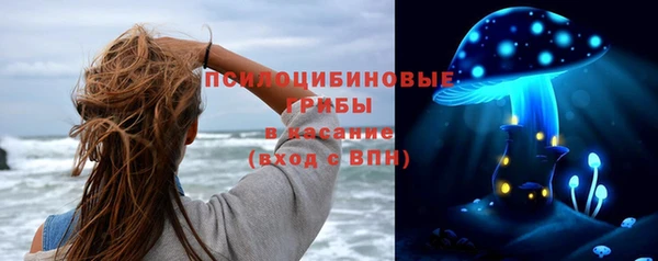 спиды Белокуриха