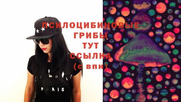 спиды Белокуриха