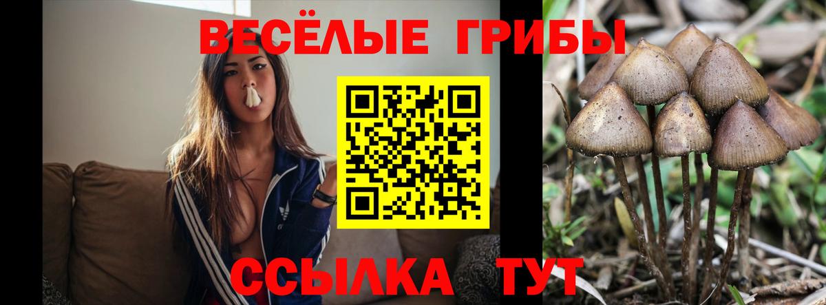 Минеральные Воды  Галлюциногенные грибы GOLDEN TEACHER  Вход с VPN 